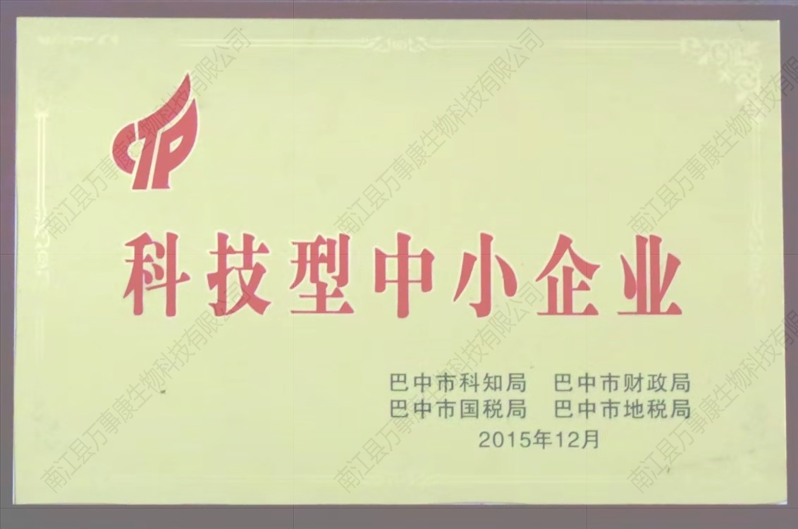 科技型中小企業(yè)